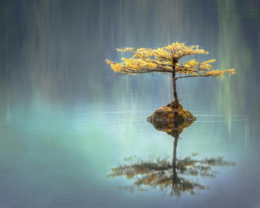 consciousness view with Christian Bech